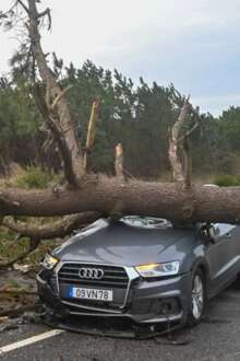 Mau tempo causa quase 38 milhões de euros de prejuízos no Baixo Alentejo